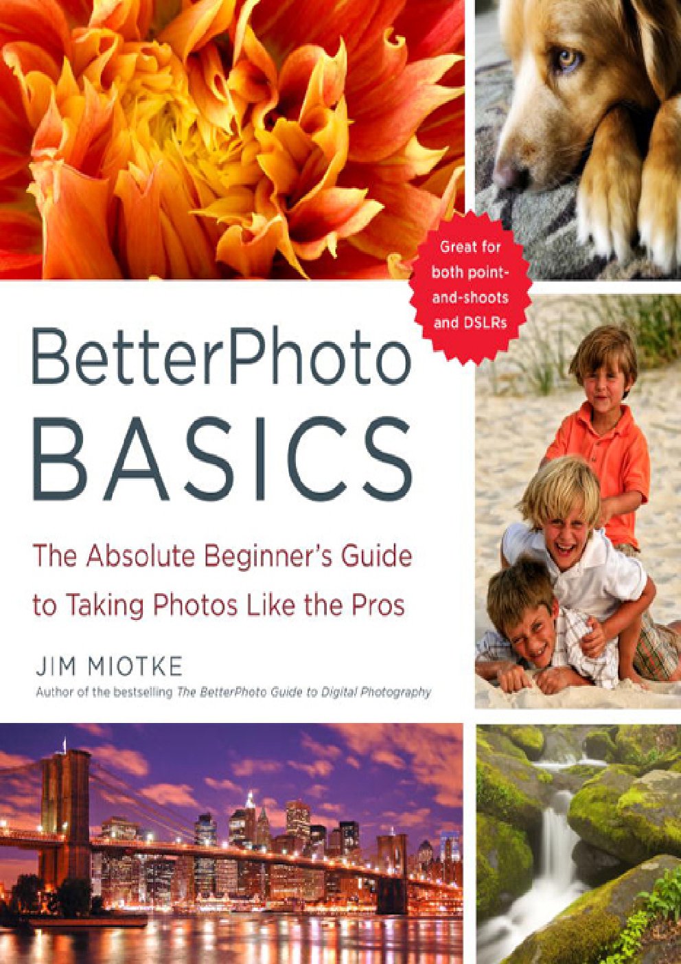 Cover of BetterPhoto Basics
