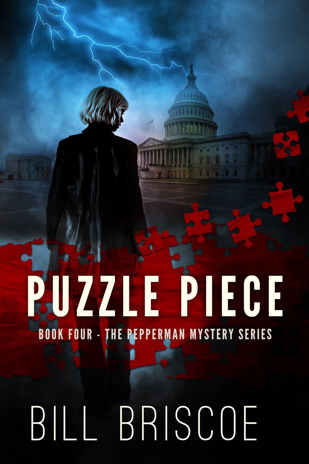 Cover of Puzzle Piece