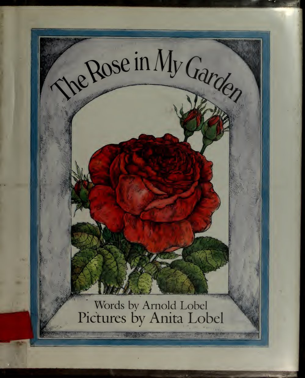 Cover of The rose in my garden