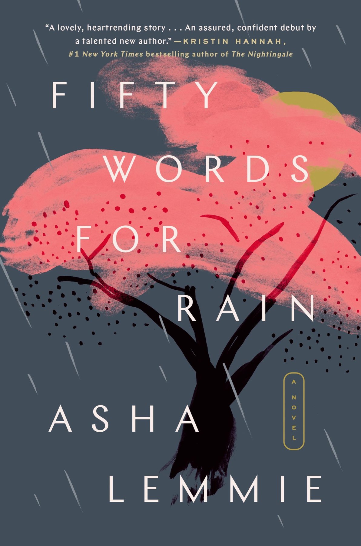 Cover of Fifty Words for Rain