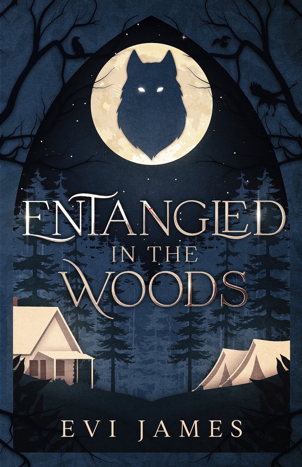 Cover of Entangled in the Woods (2024)