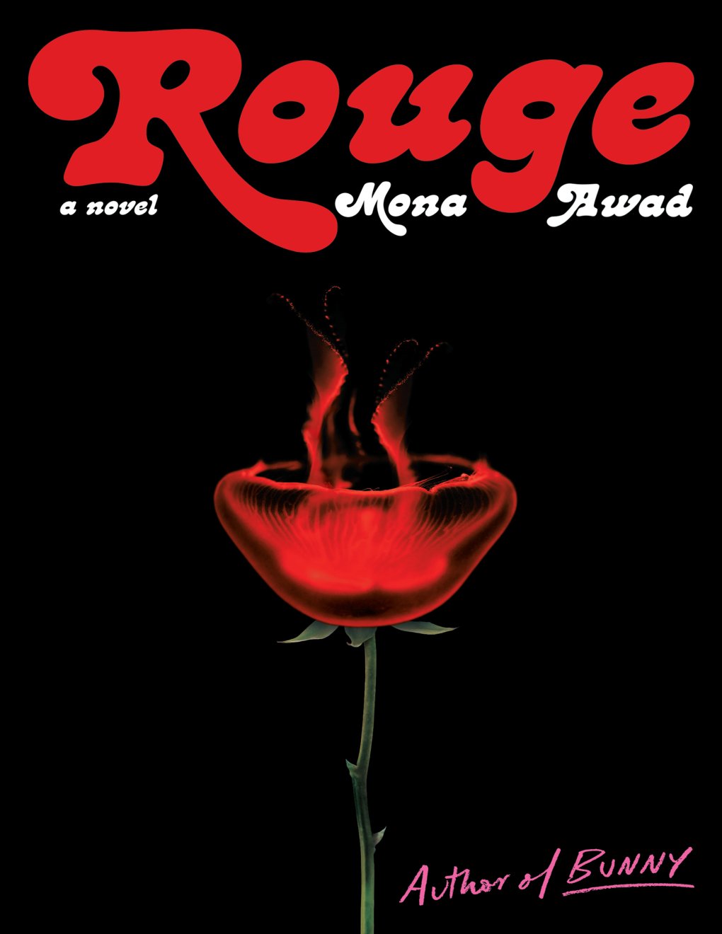 Cover of Rouge: A Novel