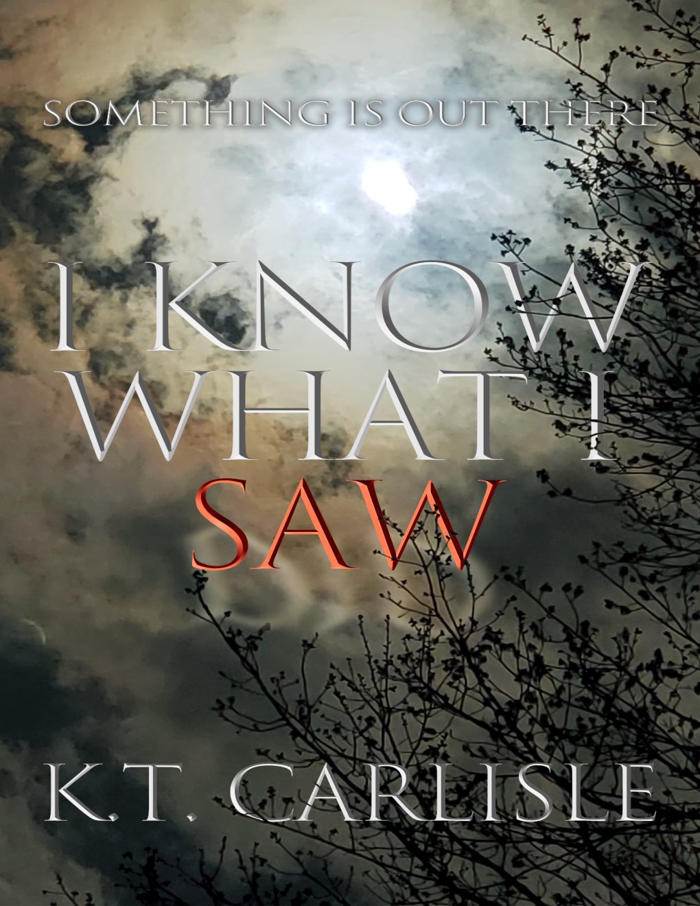 Cover of I Know What I Saw