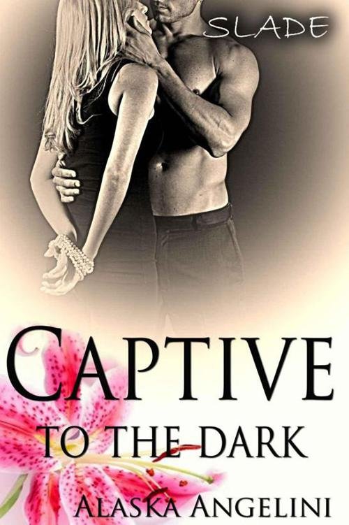 Cover of Captive to the Dark