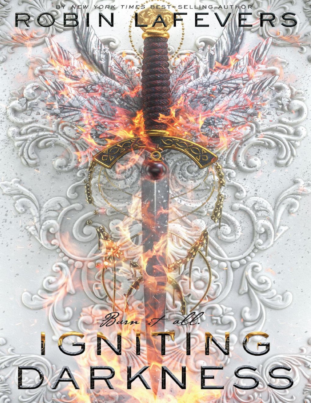 Cover of Igniting Darkness
