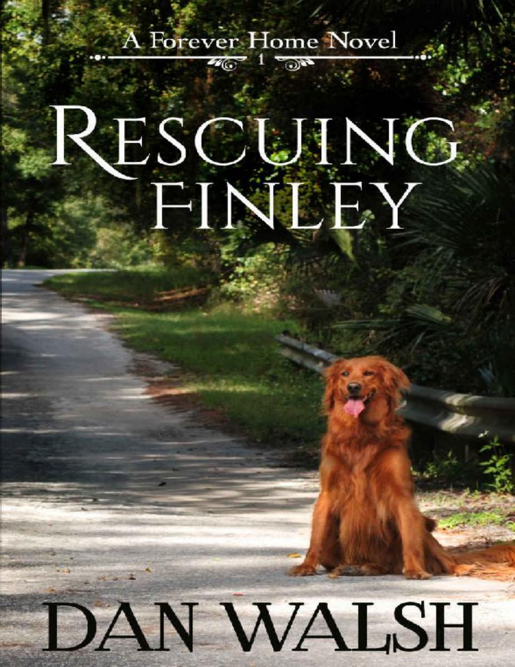 Cover of Rescuing Finley (A Forever Home Novel Book 1)