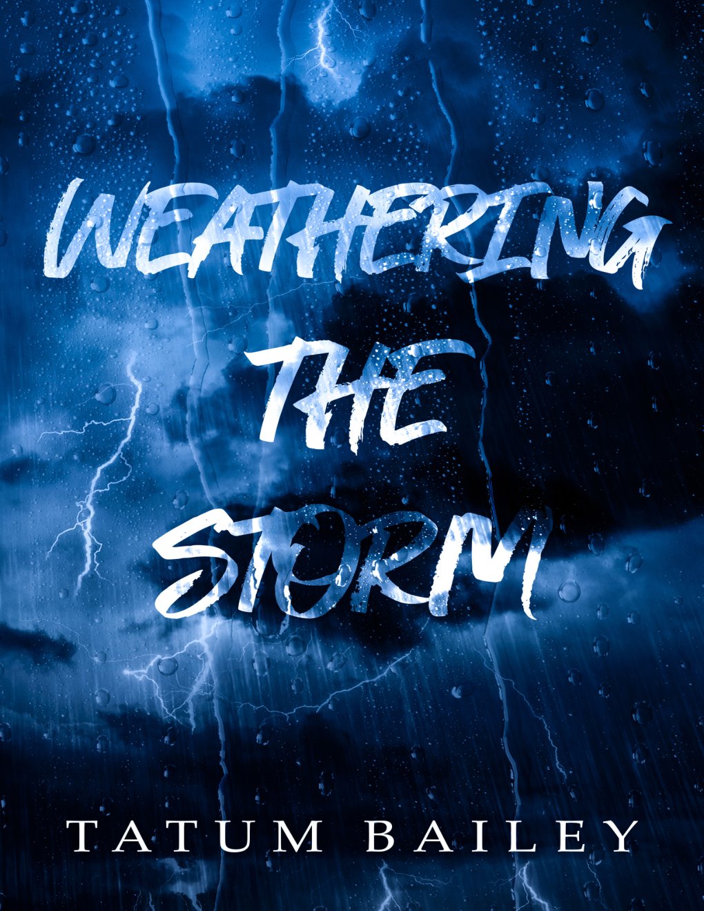 Cover of Weathering the Storm