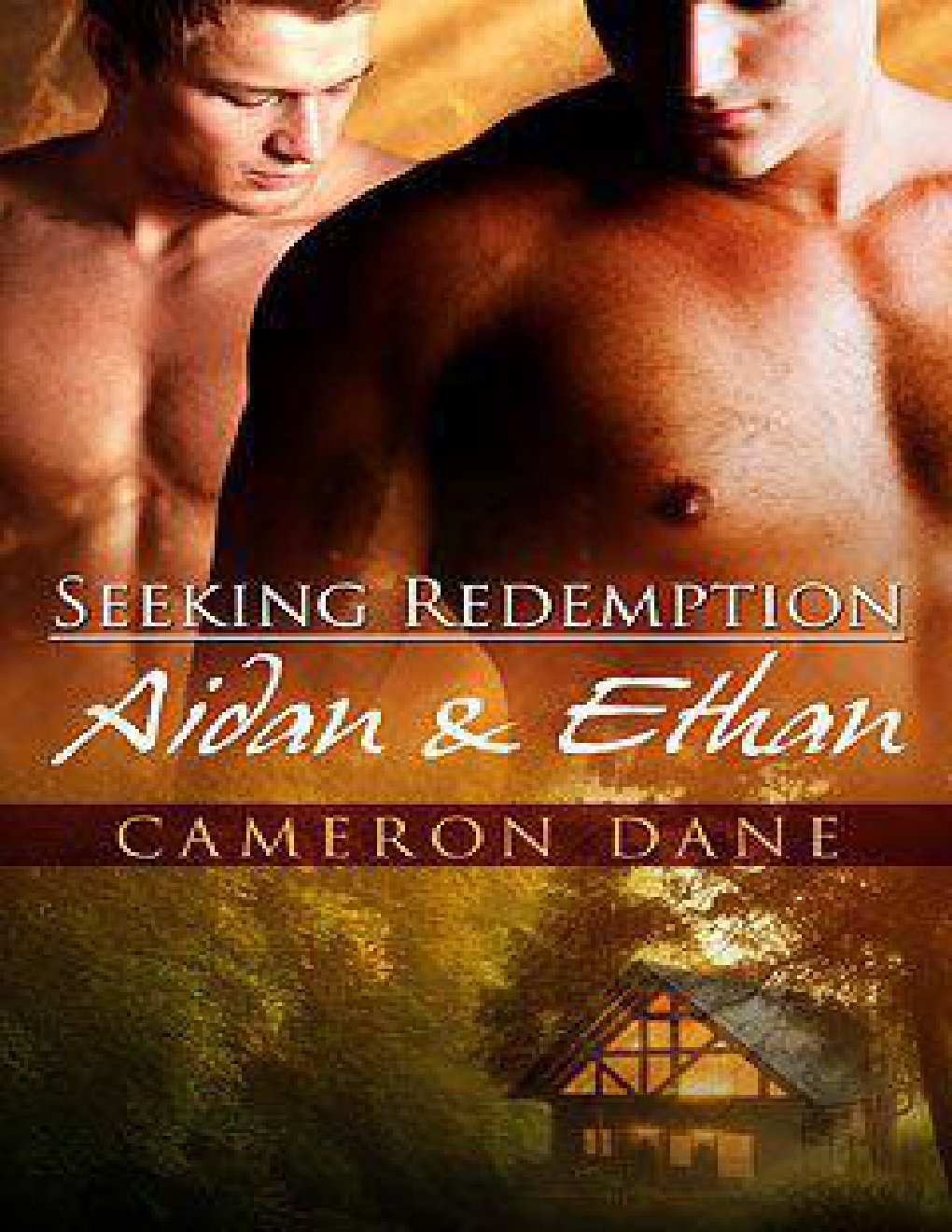Cover of Aidan and Ethan