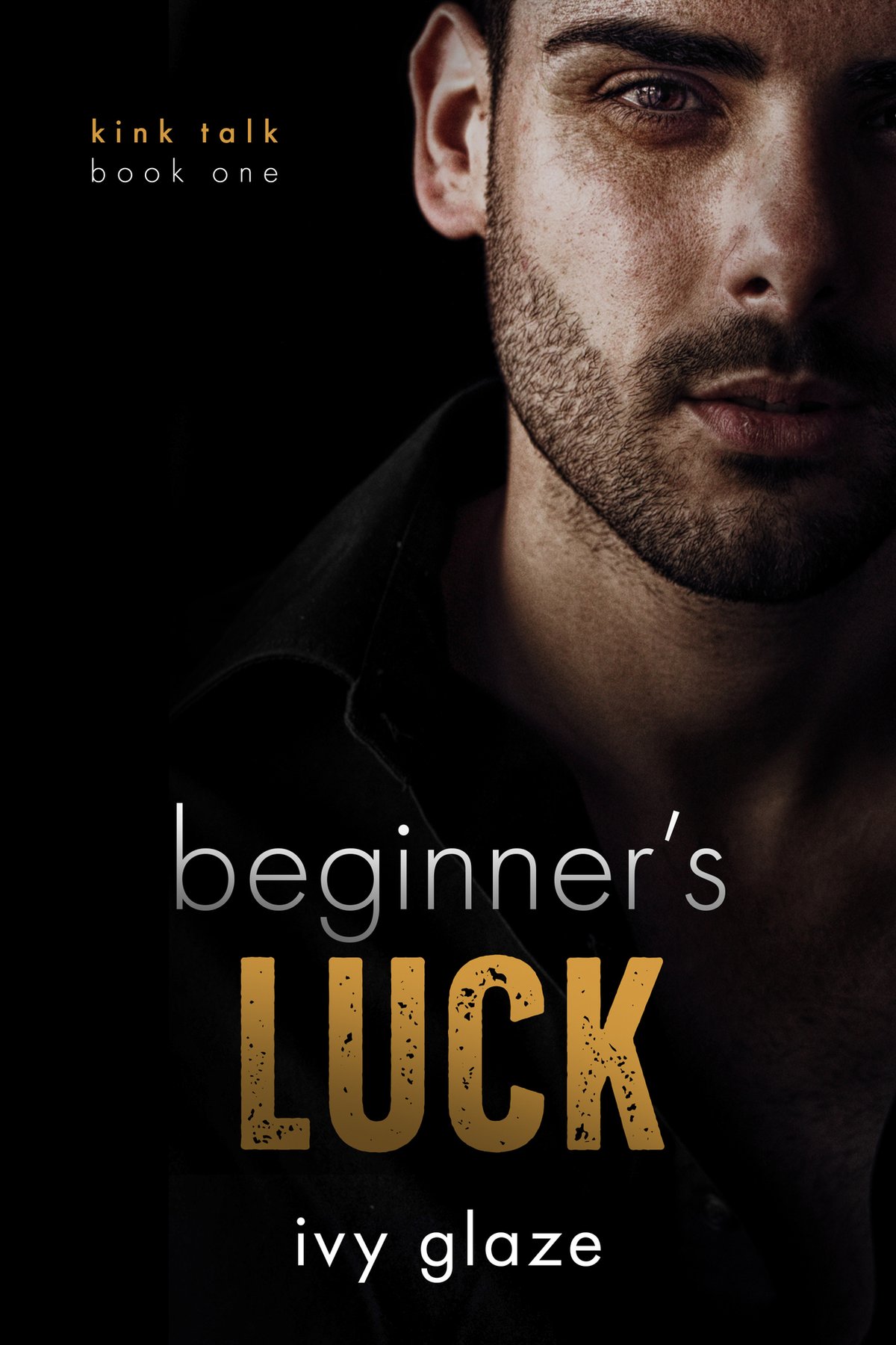 Cover of Beginner's Luck
