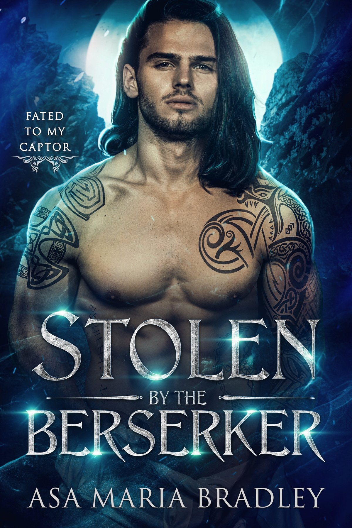 Cover of Stolen by the Berserker
