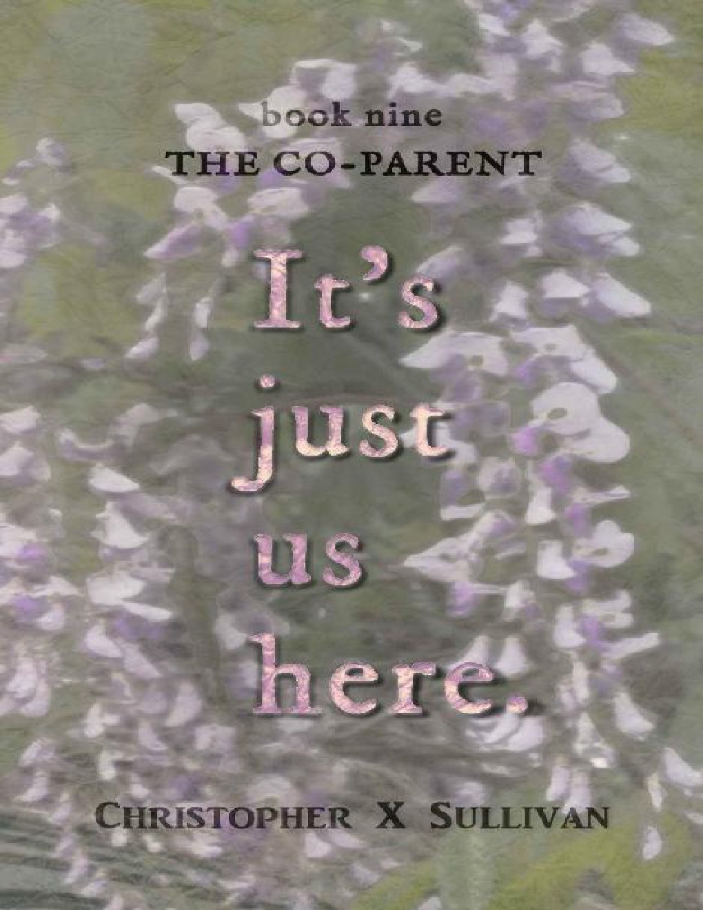 Cover of The Co-Parent (2019)
