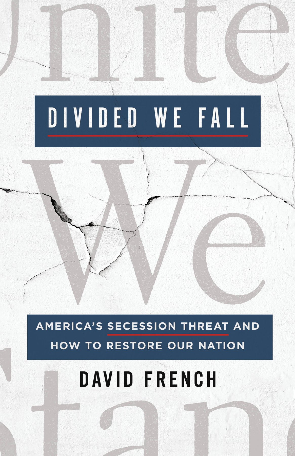 Cover of Divided We Fall