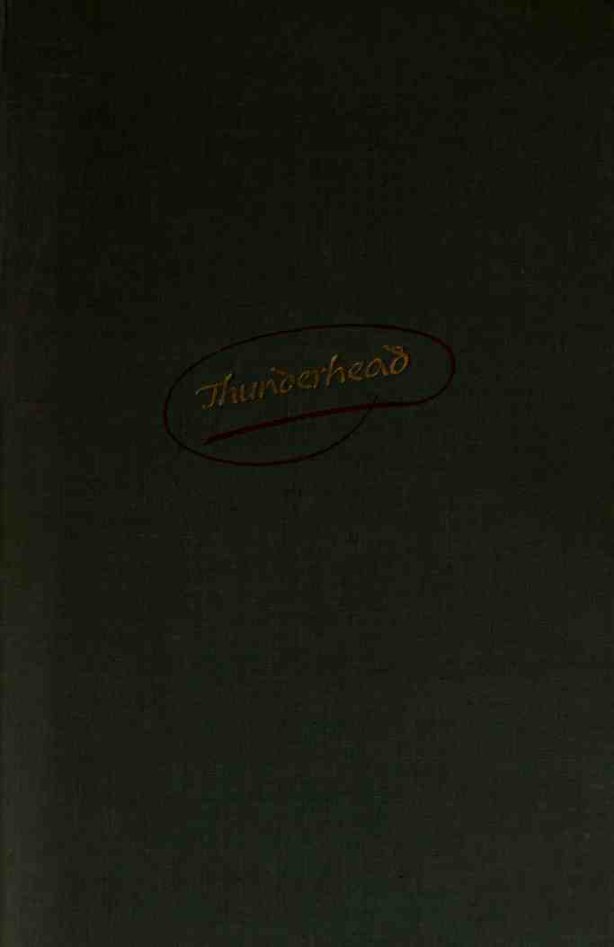 Cover of Thunderhead, a novel