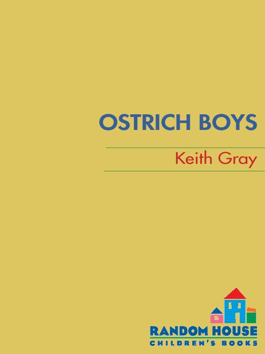 Cover of Ostrich Boys
