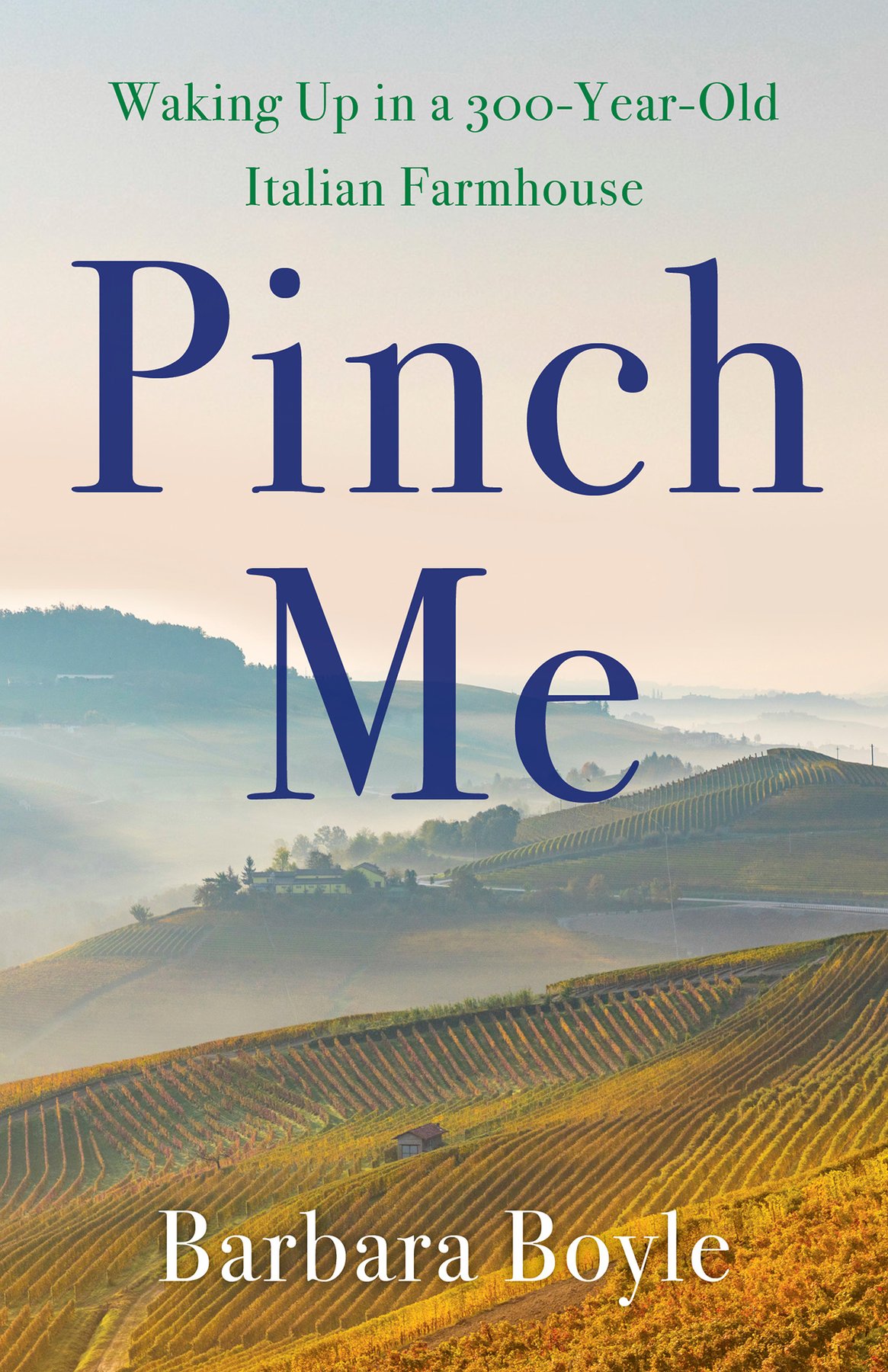 Cover of Pinch Me (1569)
