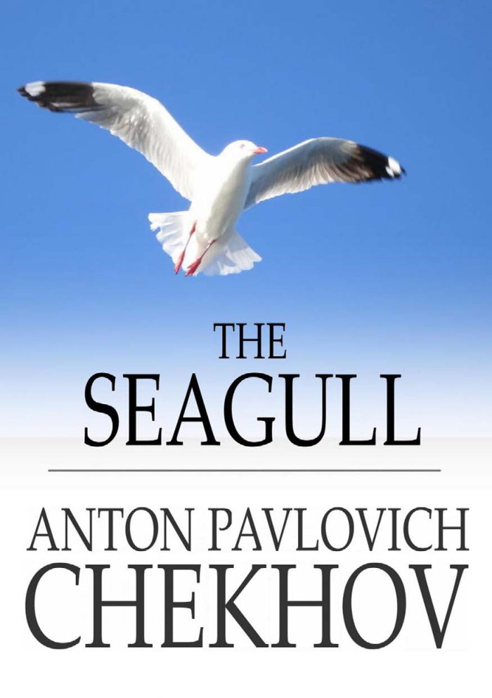 Cover of The Seagull (1895)