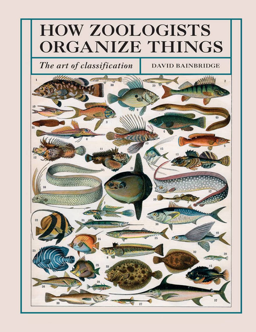 Cover of How Zoologists Organize Things