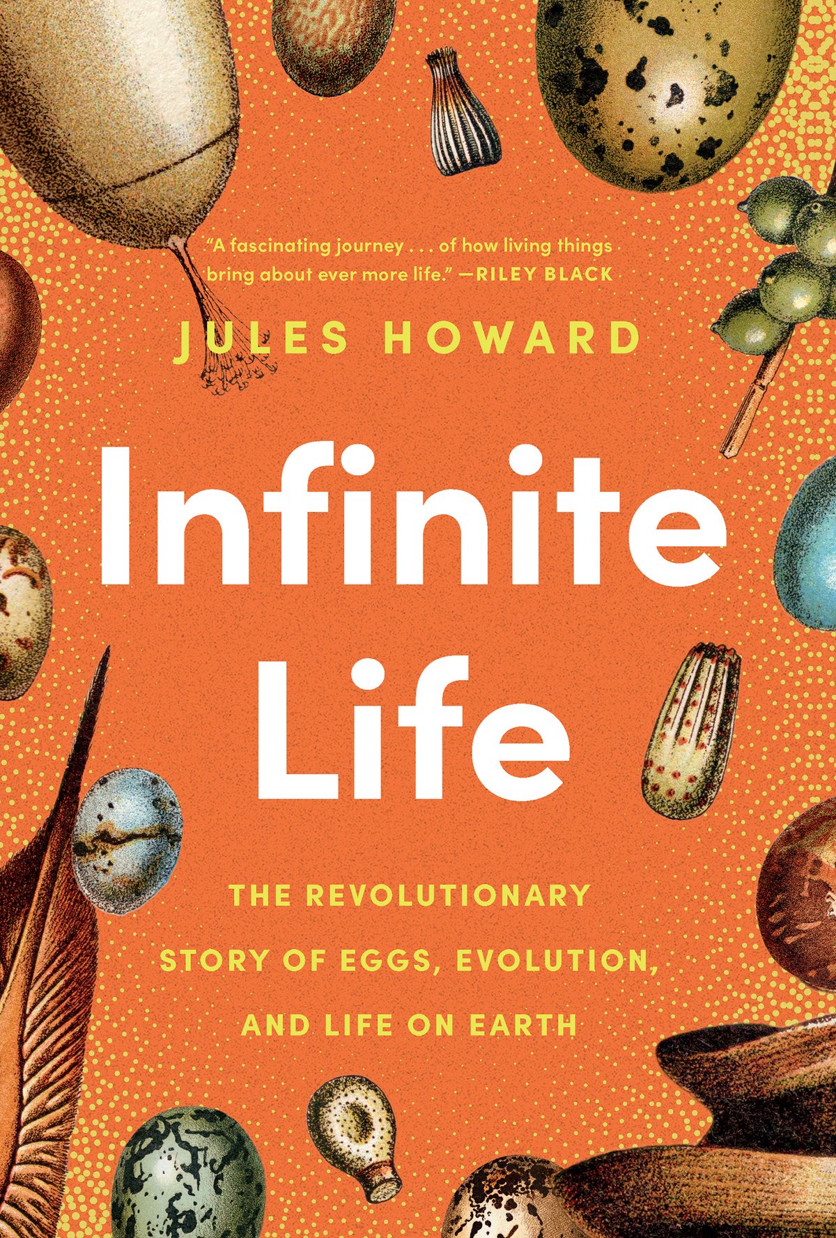 Cover of Infinite Life