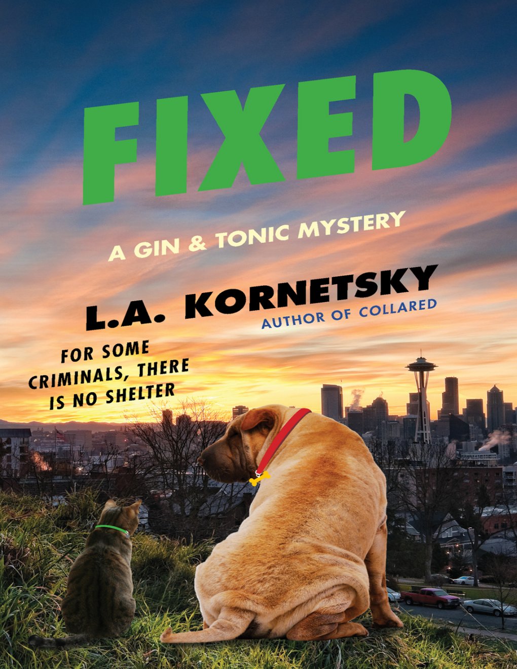 Cover of Fixed