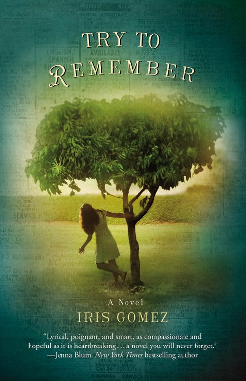 Cover of Try to Remember