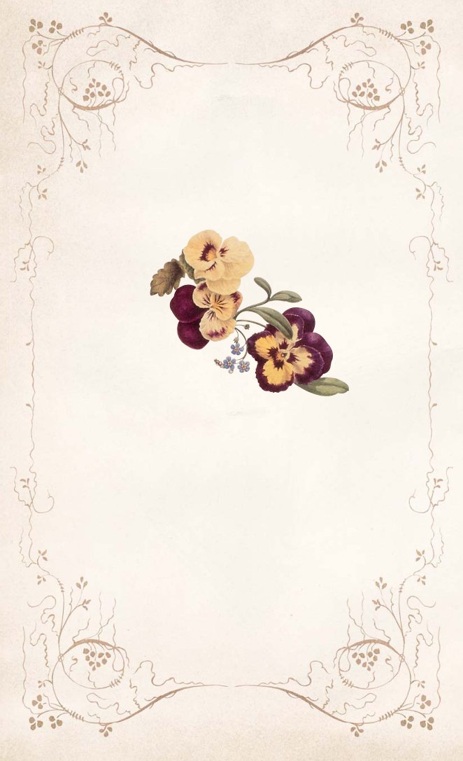 Cover of B-NTR-25584_The Secret Language_of_Trees.indd