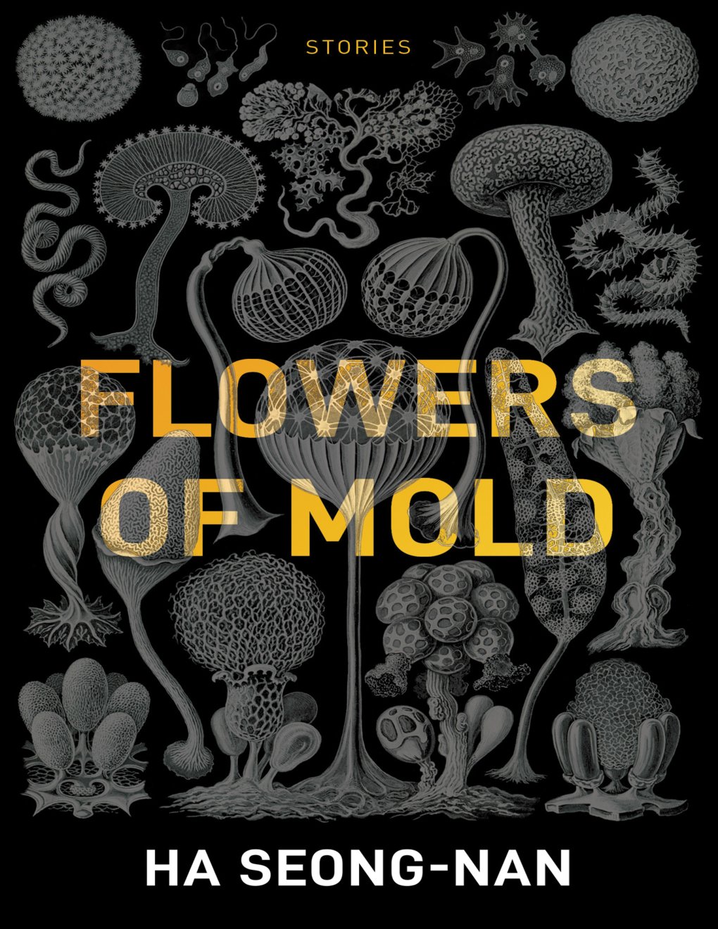 Cover of Flowers of Mold & Other Stories