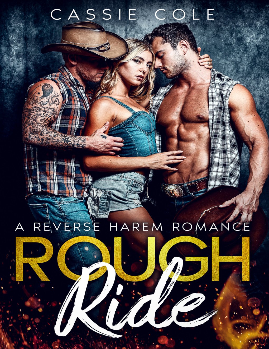 Cover of Rough Ride: A Reverse Harem Romance