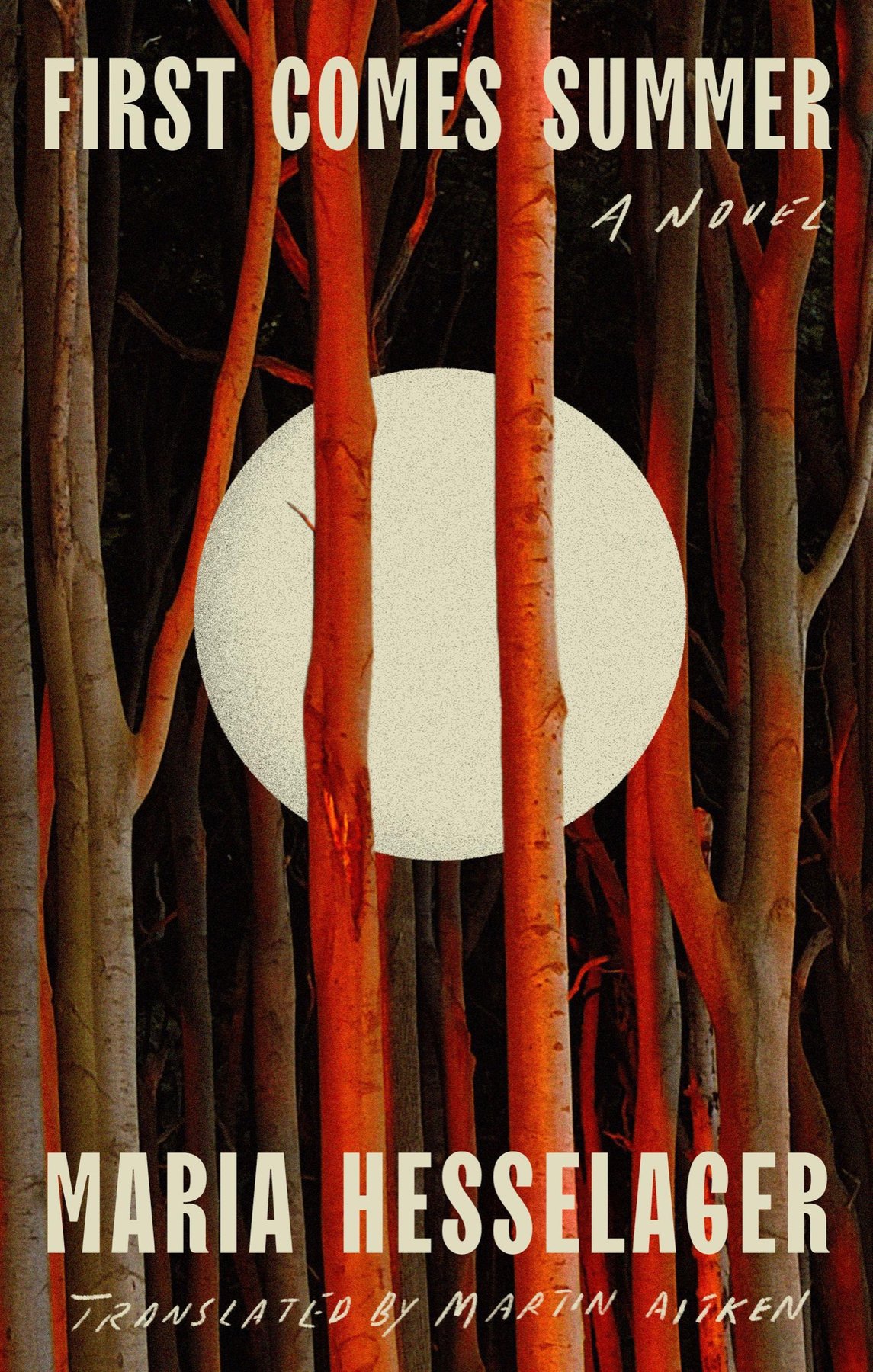 Cover of First Comes Summer