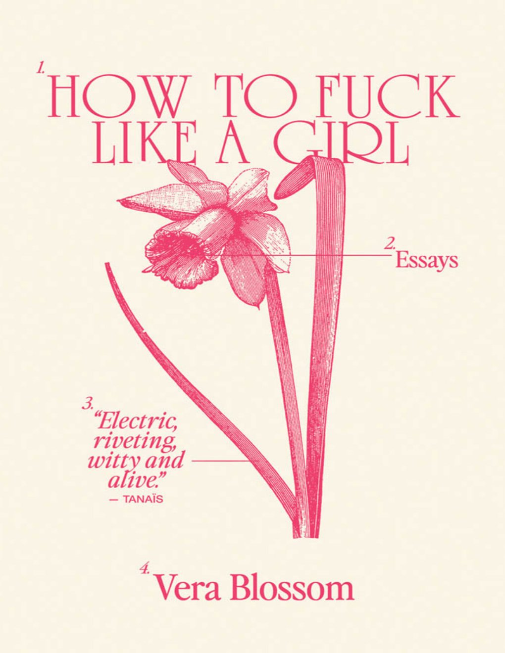Cover of How to Fuck Like a Girl: Essays