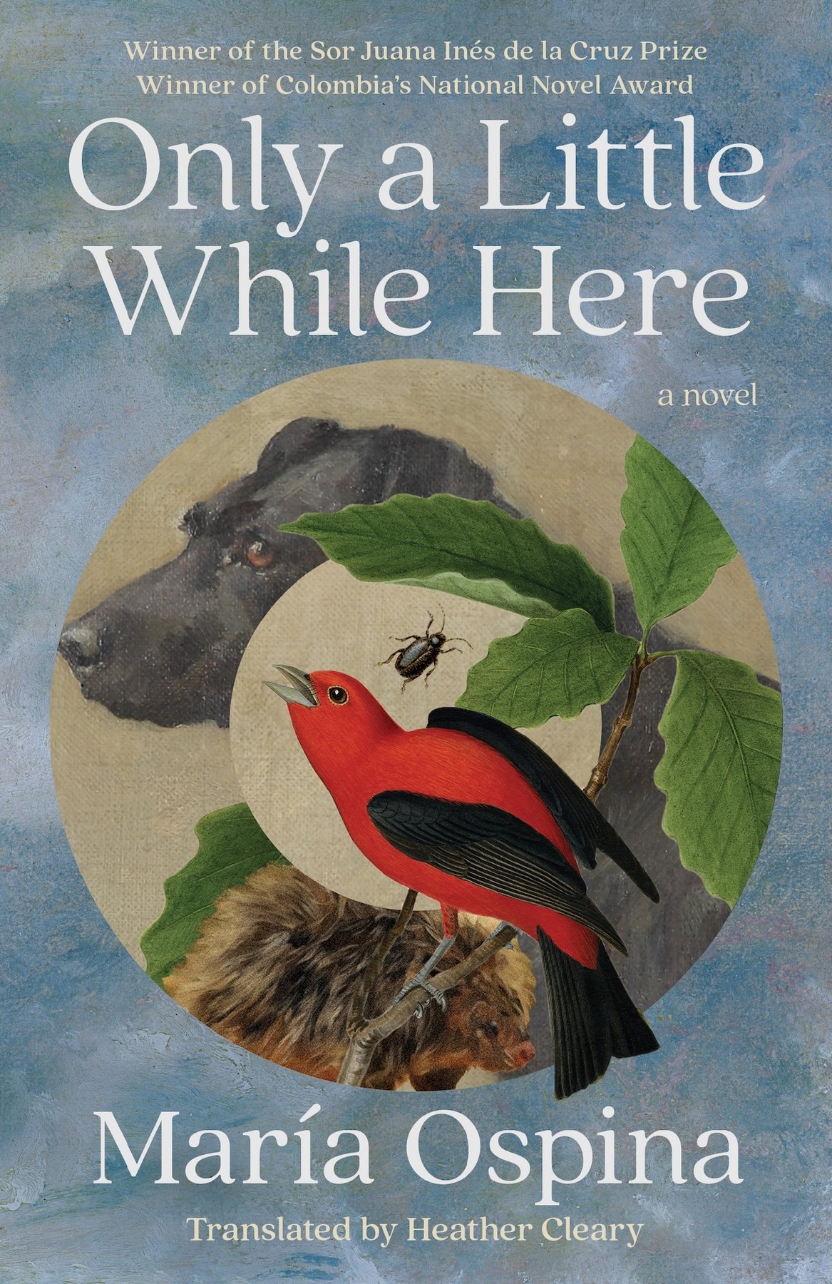 Cover of Only a Little While Here
