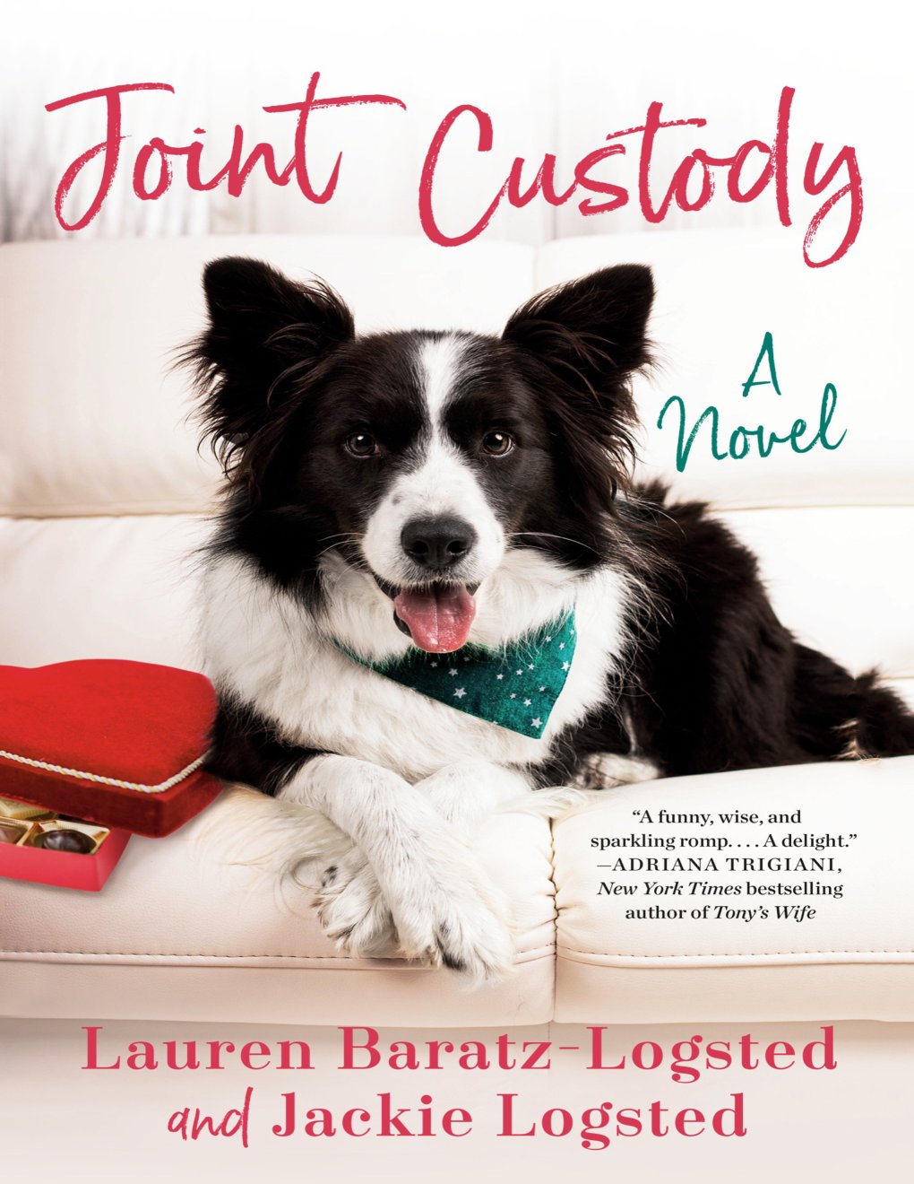 Cover of Joint Custody