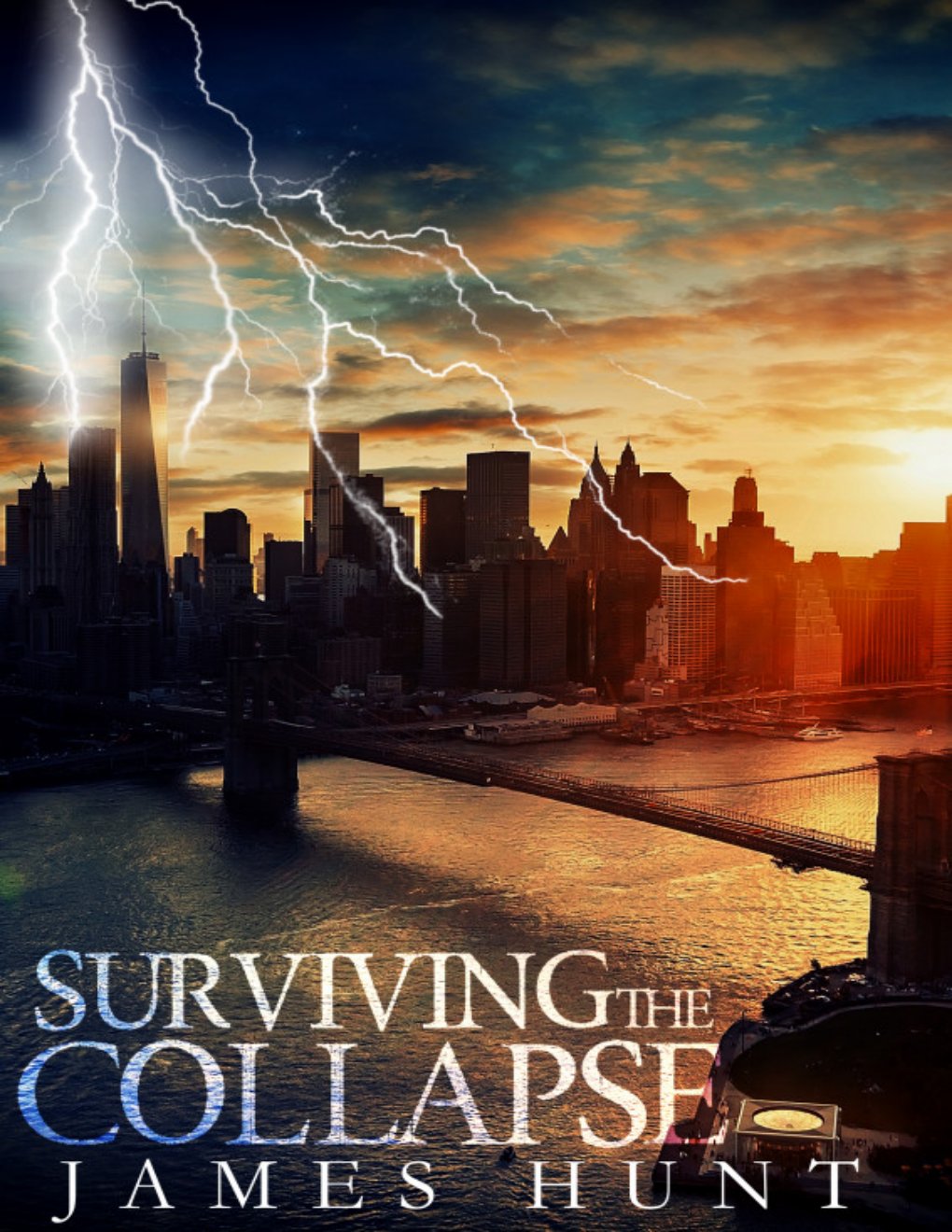Cover of Surviving The Collapse (2017)