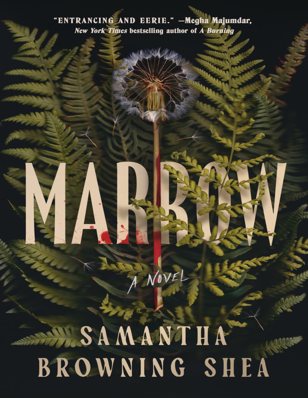 Cover of Marrow