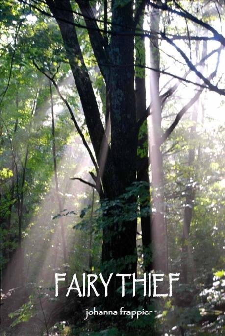 Cover of Fairy Thief