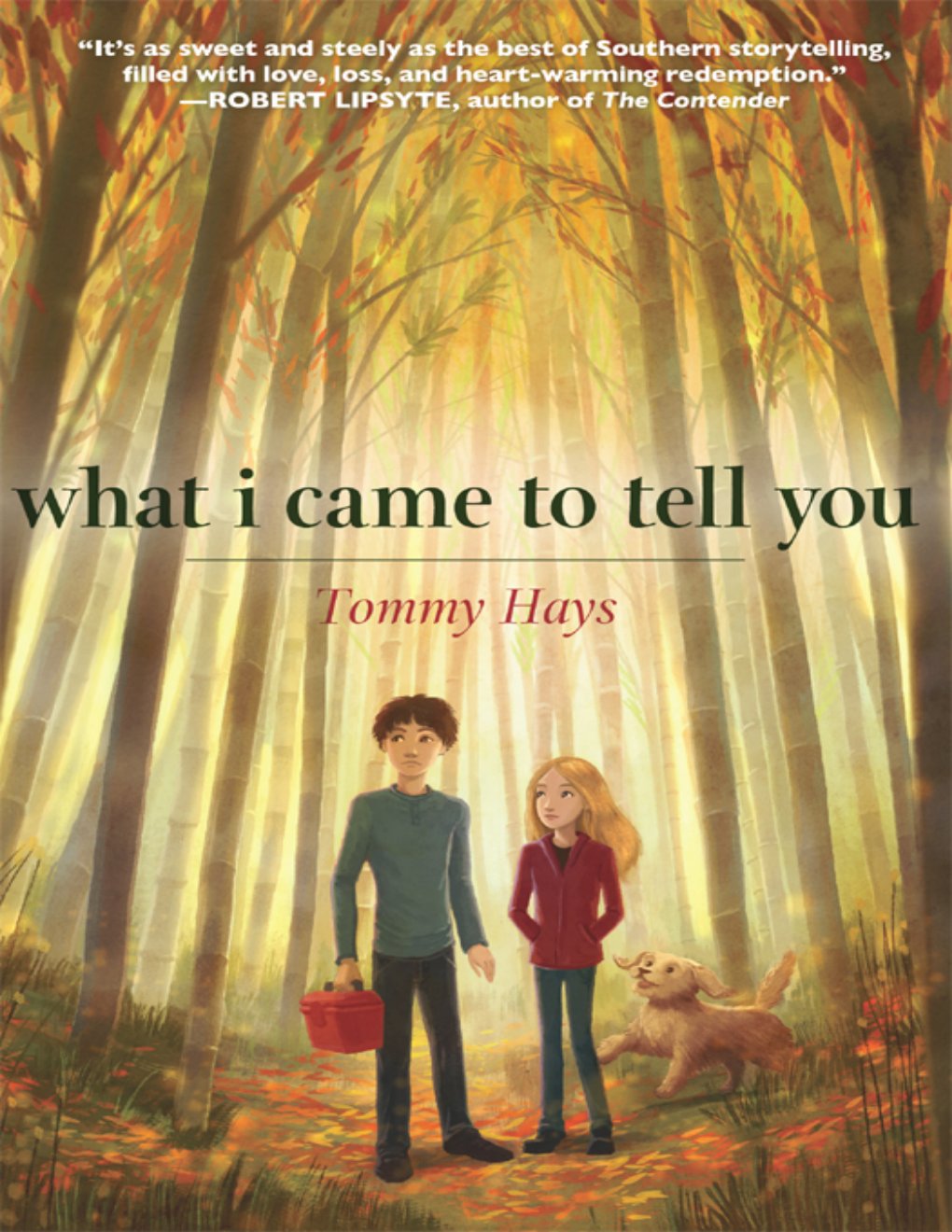 Cover of What I Came to Tell You