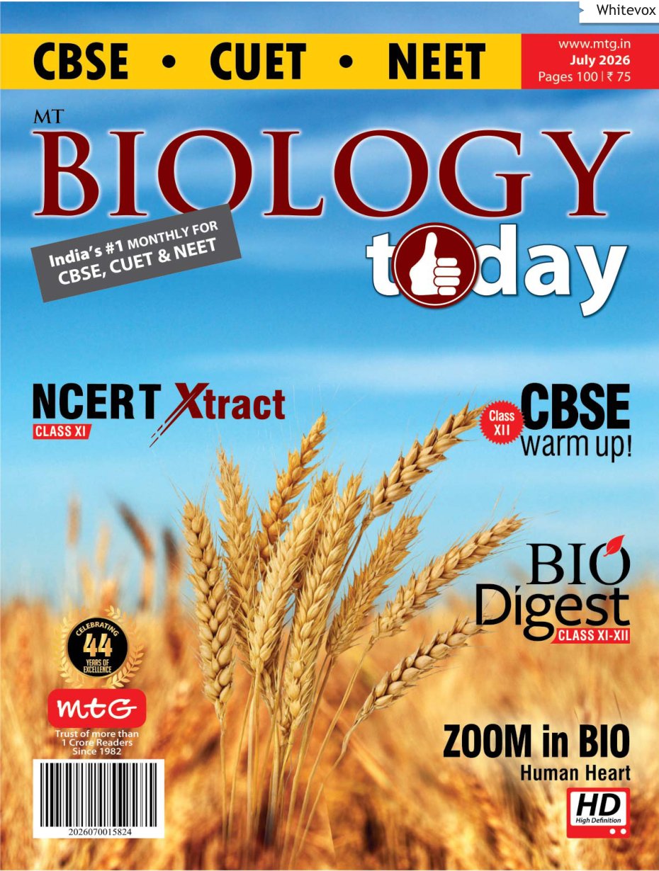 Cover of Whitevox