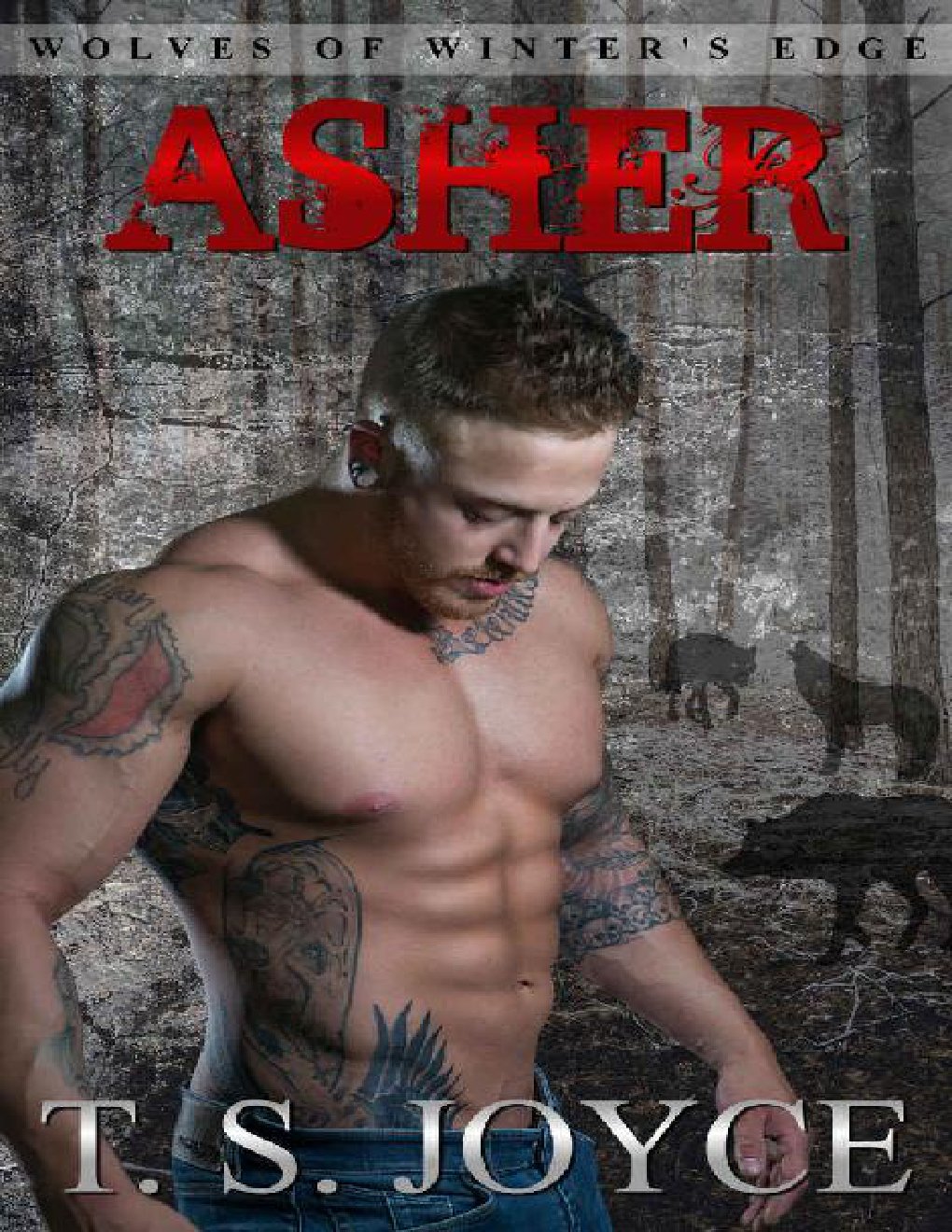 Cover of Asher (Wolves of Winter's Edge Book 3)