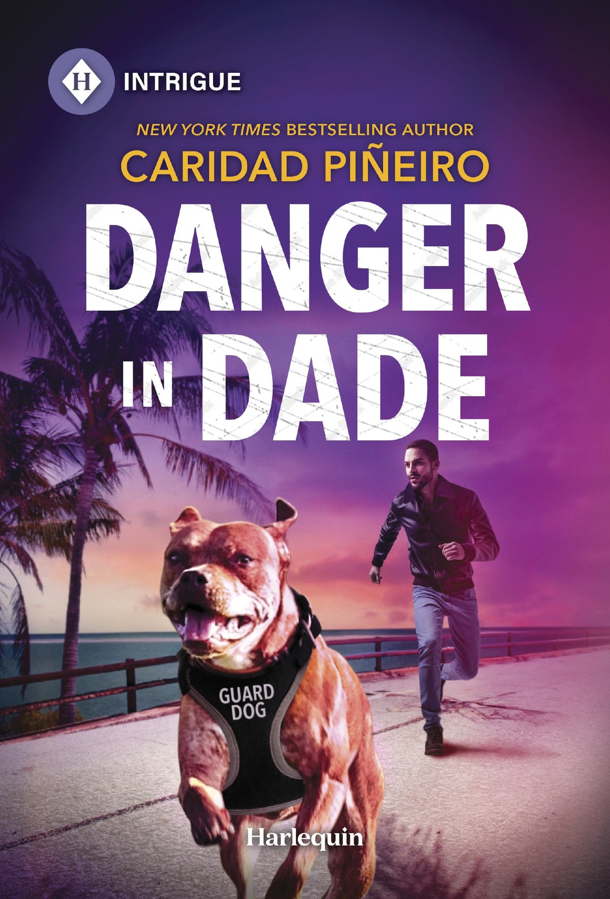 Cover of Danger in Dade