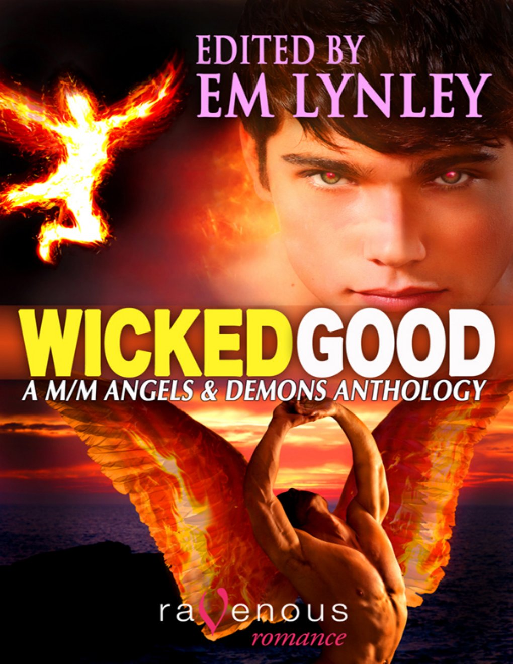 Cover of Wicked Good (2011)