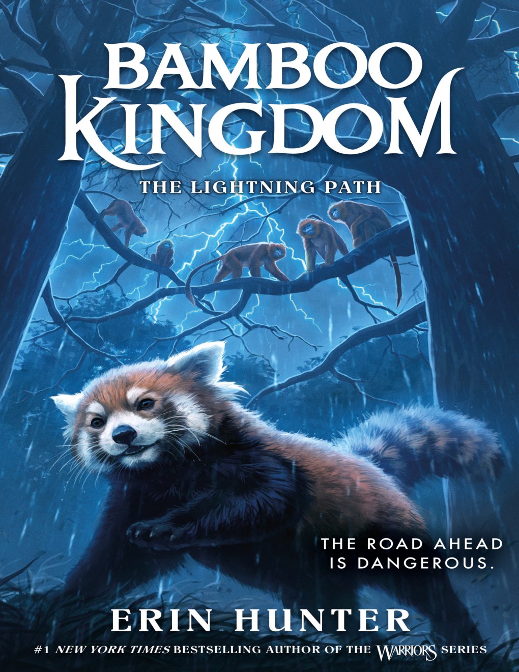 Cover of Bamboo Kingdom #5