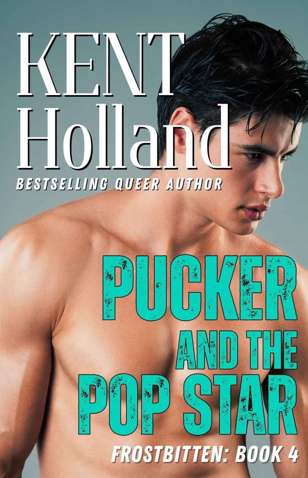 Cover of Pucker and the Pop Star: MM Hockey Romance