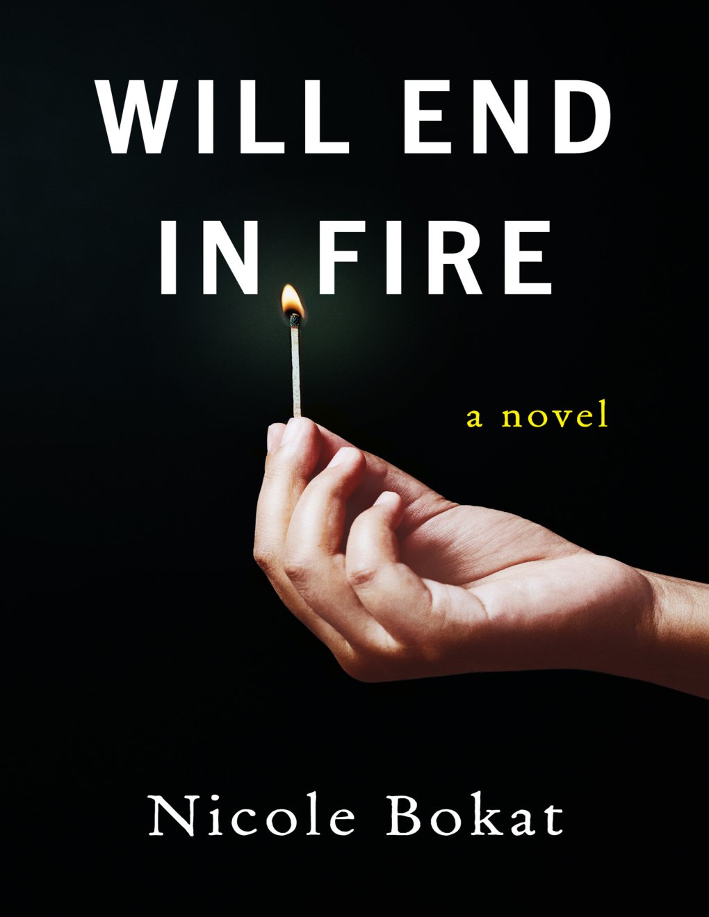 Cover of Will End in Fire: A Novel