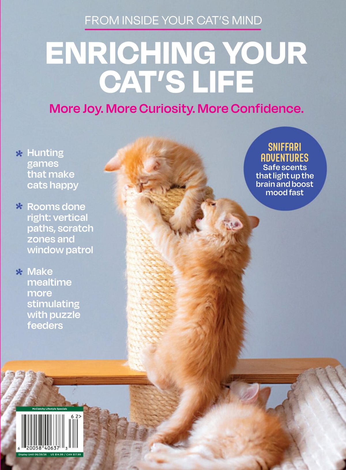 Cover of Inside Your Cats Mind Enriching Your Cats Life 2026