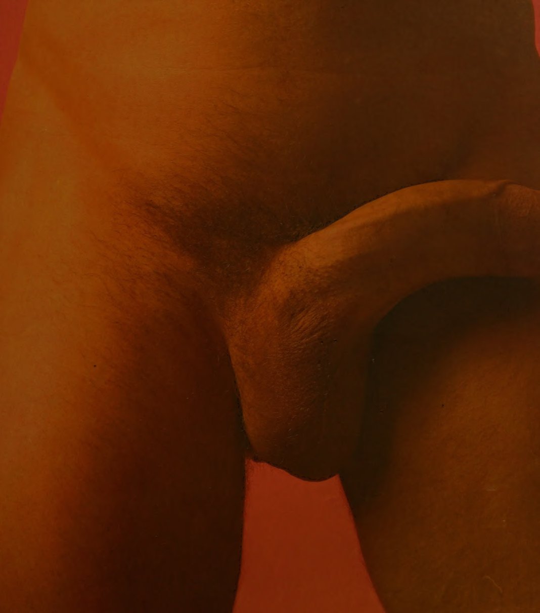 Cover of The big penis book