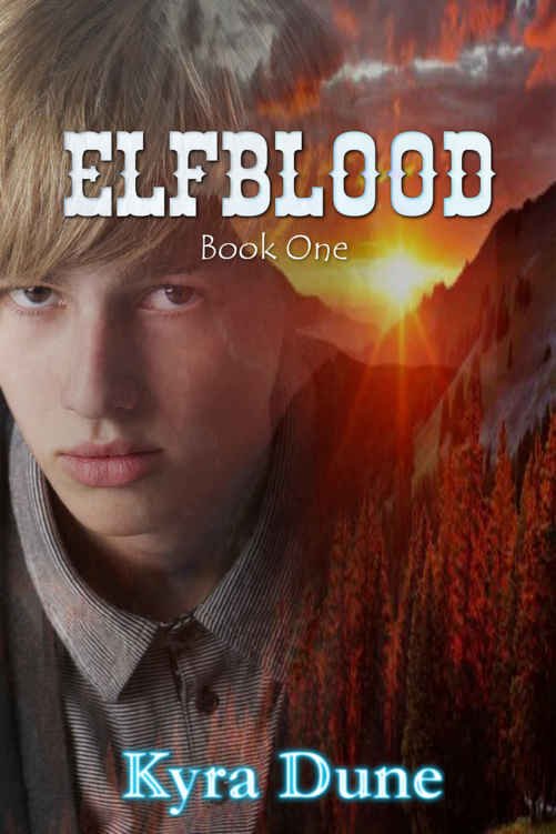 Cover of Elfblood (2011)