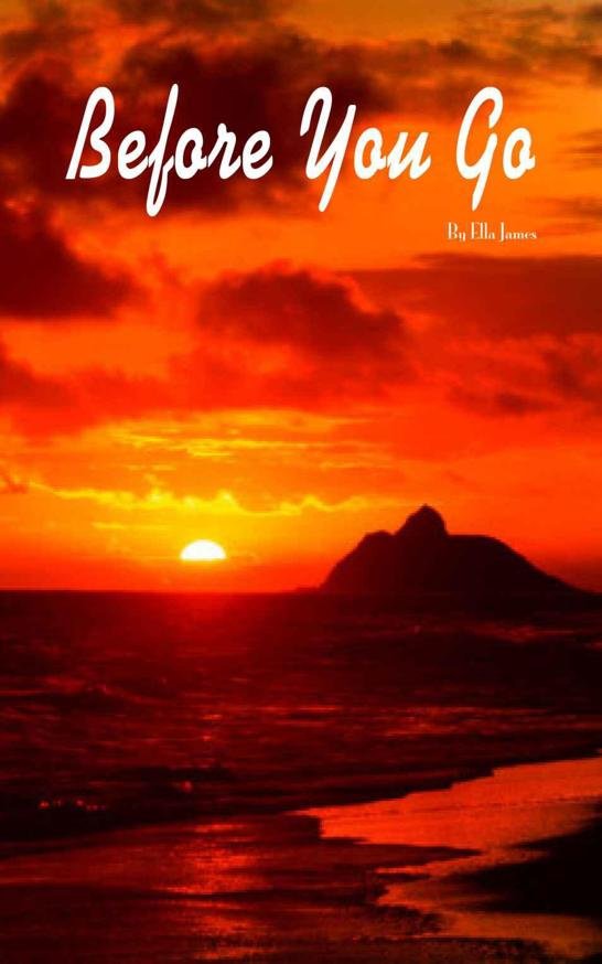 Cover of Before You Go (YA Romance)