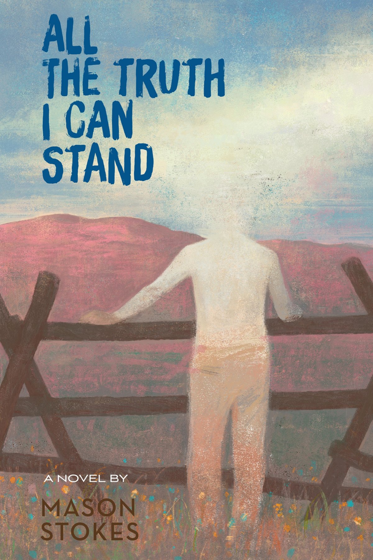 Cover of All the Truth I Can Stand