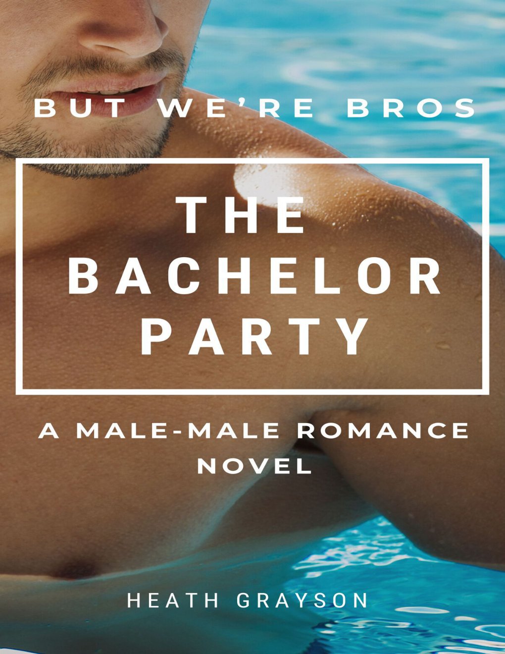 Cover of The Bachelor Party (But We're Bros!)