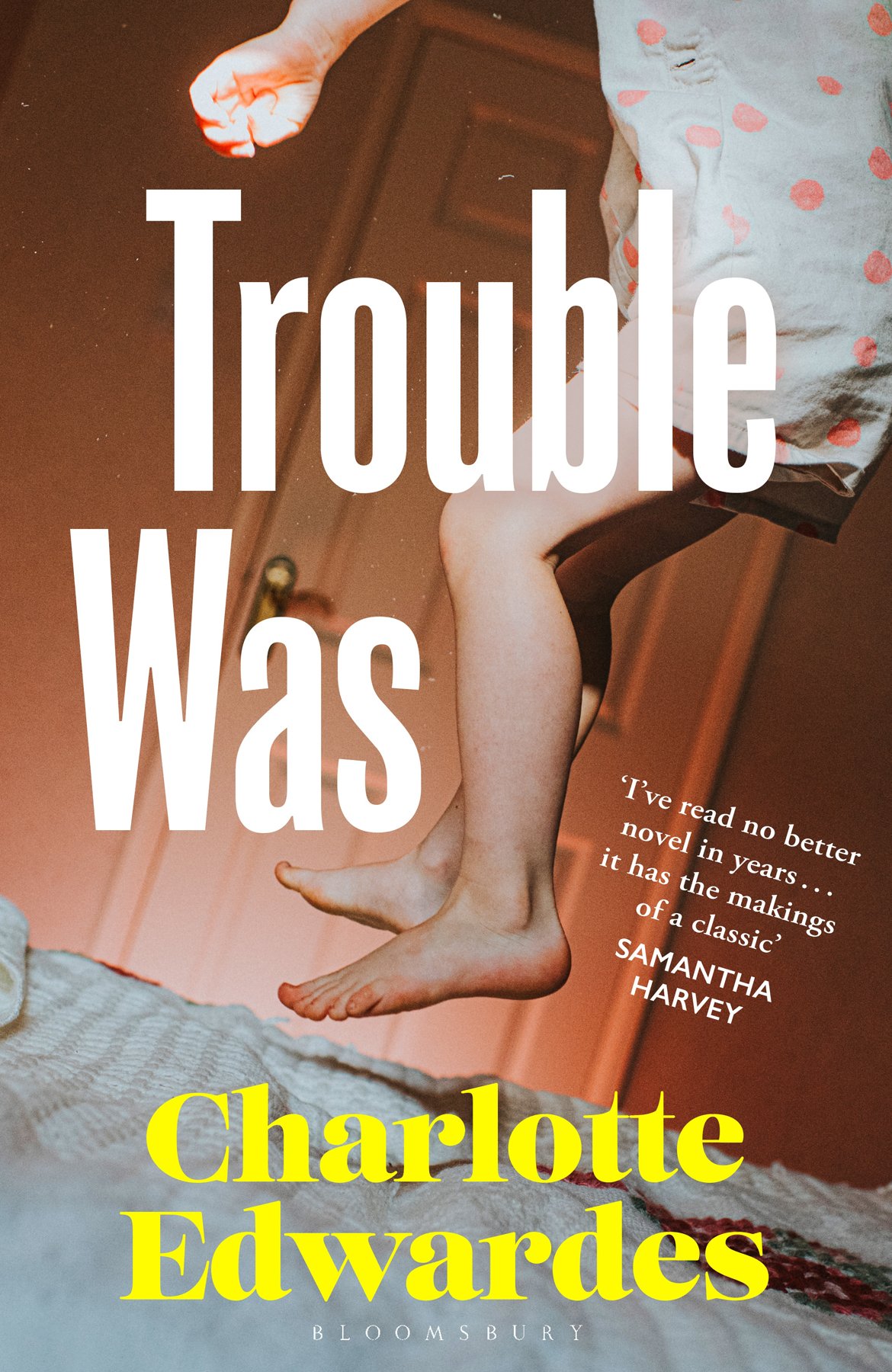 Cover of Trouble Was