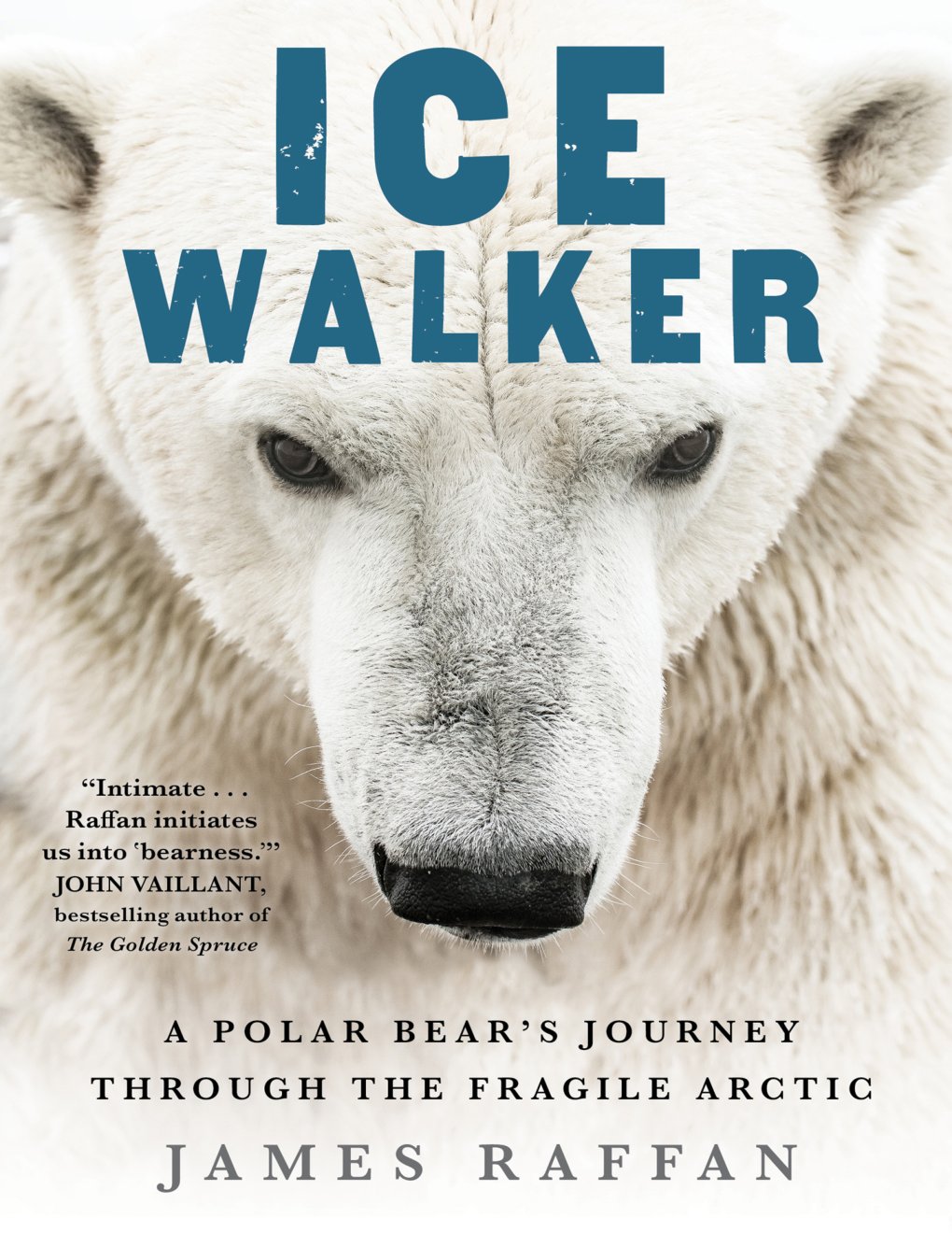 Cover of Ice Walker (2020)